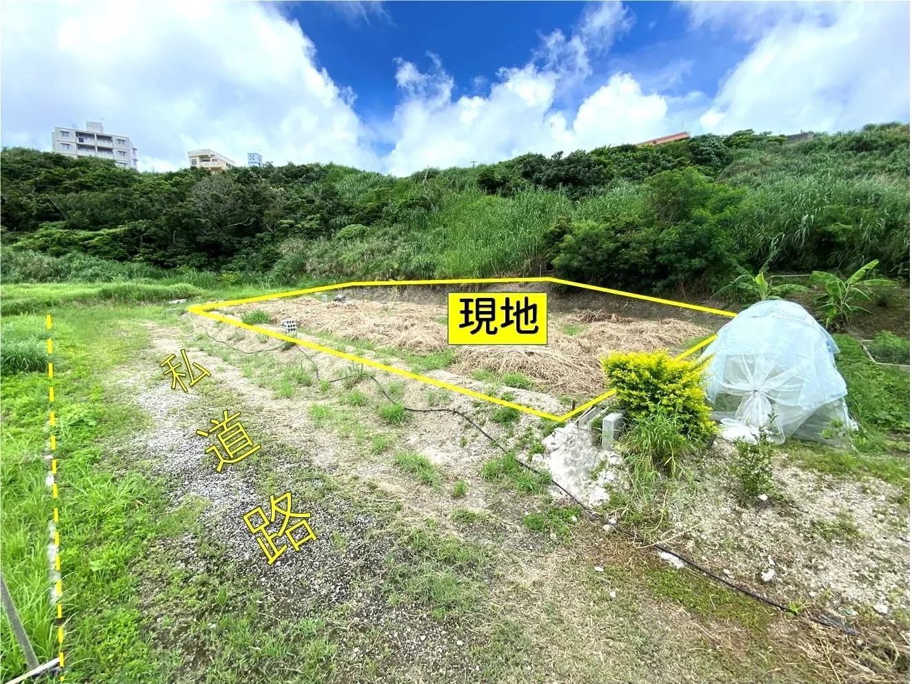 中城村奥間農地215坪
